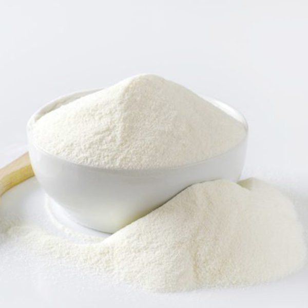 Skimmed Milk Powder